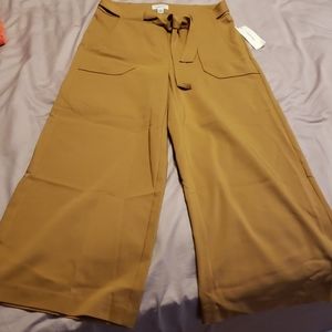 NEW Calvin Klein Luggage Color Trouser